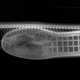 Illustration for article titled This Video of a Vet Pulling a Slipper Out of a Snake Is Gnarly as Heckem/em